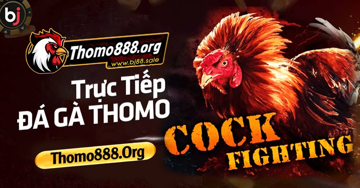 thomo 888 - Trực tiếp đá gà 888 - thomo 888