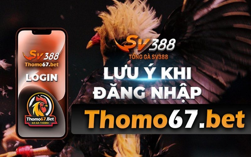 THOMO67 - DAGATHOMO67 Trang đá gà thomo 67 độc quyền